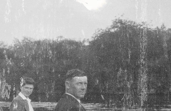 Photo with cracks and blur